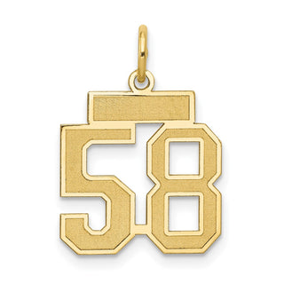 14k Yellow Gold Small Satin Number 58 Charm