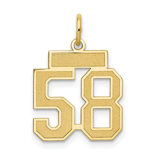 14k Yellow Gold Small Satin Number 58 Charm