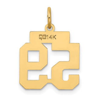 14k Yellow Gold Small Satin Number 59 Charm