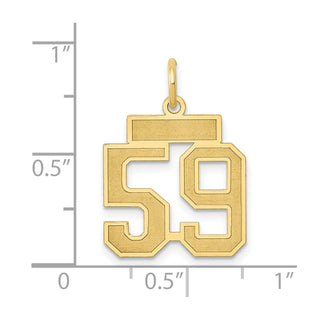 14k Yellow Gold Small Satin Number 59 Charm