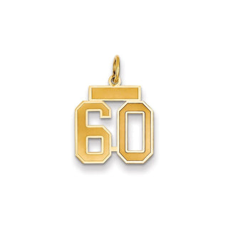 14k Yellow Gold Small Satin Number 60 Charm