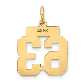 14k Yellow Gold Small Satin Number 63 Charm