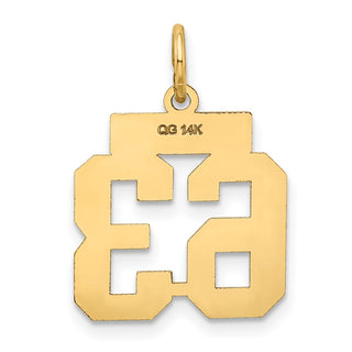 14k Yellow Gold Small Satin Number 63 Charm