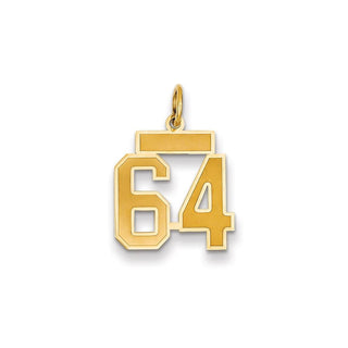 14k Yellow Gold Small Satin Number 64 Charm