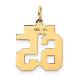 14k Yellow Gold Small Satin Number 65 Charm