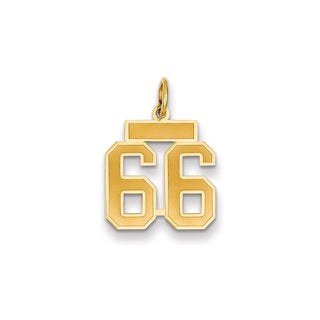 14k Yellow Gold Small Satin Number 66 Charm