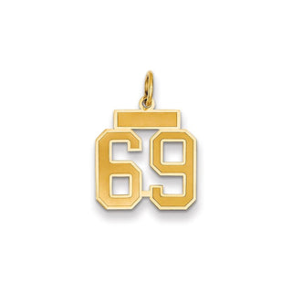 14k Yellow Gold Small Satin Number 69 Charm