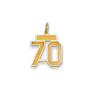 14k Yellow Gold Small Satin Number 70 Charm