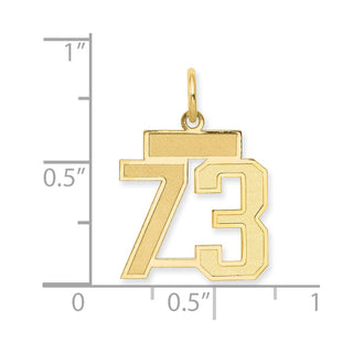 14k Yellow Gold Small Satin Number 73 Charm