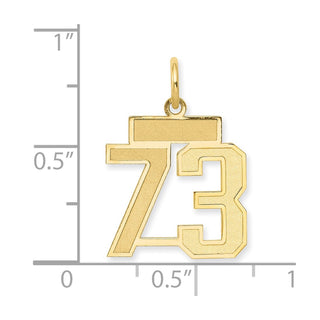 14k Yellow Gold Small Satin Number 73 Charm