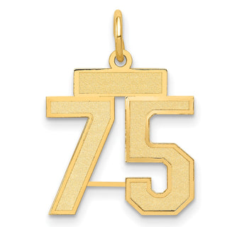 14k Yellow Gold Small Satin Number 75 Charm