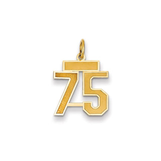 14k Yellow Gold Small Satin Number 75 Charm