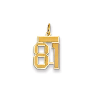 14k Yellow Gold Small Satin Number 81 Charm