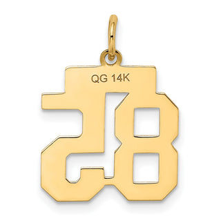14k Yellow Gold Small Satin Number 85 Charm