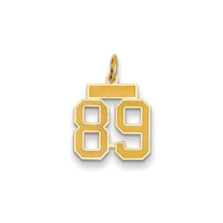 14k Yellow Gold Small Satin Number 89 Charm