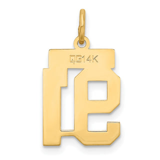 14k Yellow Gold Small Satin Number 91 Charm
