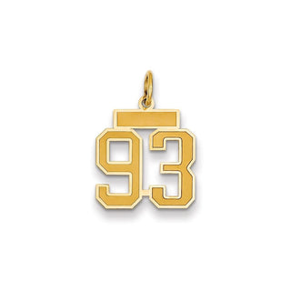 14k Yellow Gold Small Satin Number 93 Charm