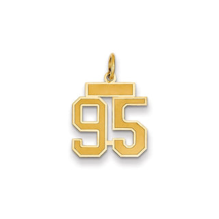 14k Yellow Gold Small Satin Number 95 Charm