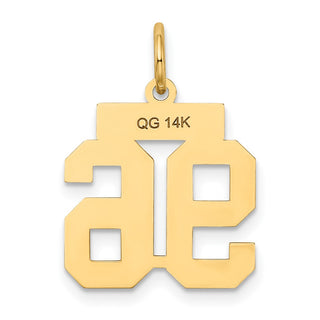 14k Yellow Gold Small Satin Number 96 Charm