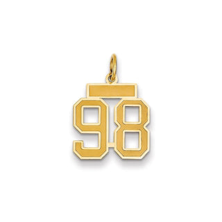 14k Yellow Gold Small Satin Number 98 Charm