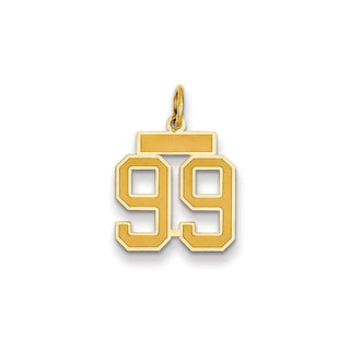 14k Yellow Gold Small Satin Number 99 Charm