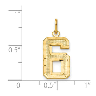 14k Yellow Gold Casted Medium Diamond-Cut Number 6 Charm