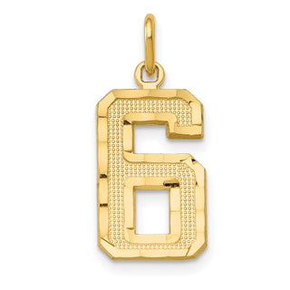 14k Yellow Gold Casted Medium Diamond-Cut Number 6 Charm