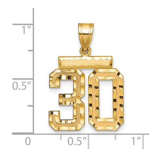 14k Yellow Gold Medium Diamond-Cut Number 30 Charm