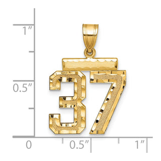 14k Yellow Gold Medium Diamond-Cut Number 37 Charm