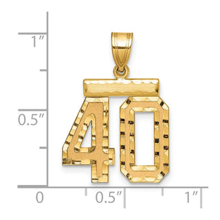 14k Yellow Gold Medium Diamond-Cut Number 40 Charm