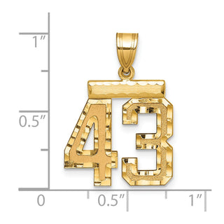 14k Yellow Gold Medium Diamond-Cut Number 43 Charm