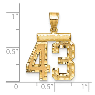 14k Yellow Gold Medium Diamond-Cut Number 43 Charm