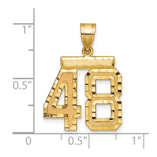 14k Yellow Gold Medium Diamond-Cut Number 48 Charm
