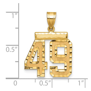 14k Yellow Gold Medium Diamond-Cut Number 49 Charm