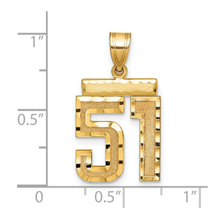 14k Yellow Gold Medium Diamond-Cut Number 51 Charm