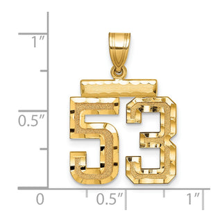 14k Yellow Gold Medium Diamond-Cut Number 53 Charm
