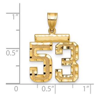 14k Yellow Gold Medium Diamond-Cut Number 53 Charm