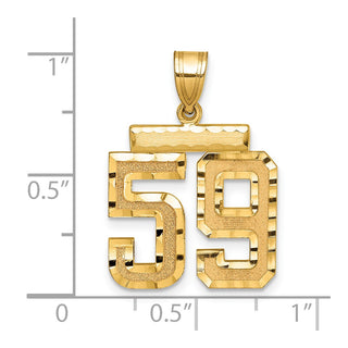 14k Yellow Gold Medium Diamond-Cut Number 59 Charm