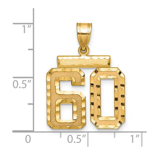 14k Yellow Gold Medium Diamond-Cut Number 60 Charm