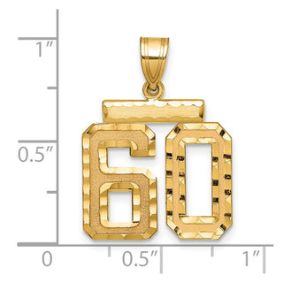 14k Yellow Gold Medium Diamond-Cut Number 60 Charm