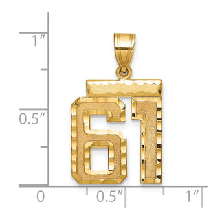 14k Yellow Gold Medium Diamond-Cut Number 61 Charm