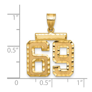 14k Yellow Gold Medium Diamond-Cut Number 69 Charm