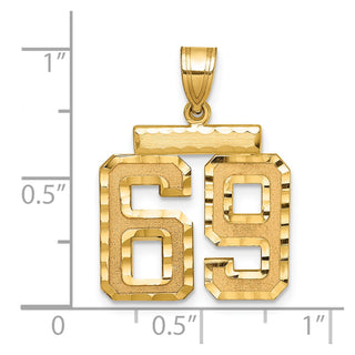 14k Yellow Gold Medium Diamond-Cut Number 69 Charm
