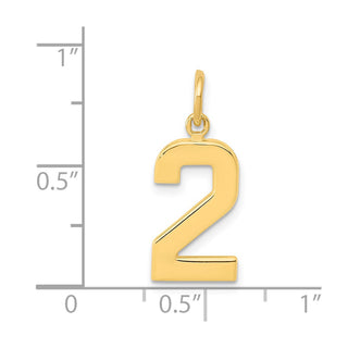 14k Yellow Gold Casted Medium Polished Number 2 Pendant