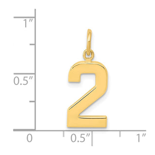 14k Yellow Gold Casted Medium Polished Number 2 Charm