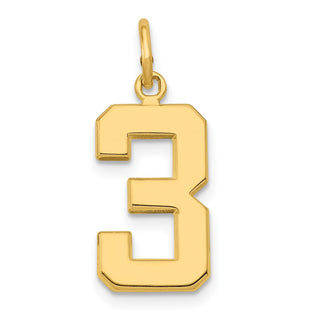 14k Yellow Gold Casted Medium Polished Number 3 Pendant