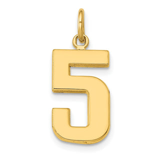 14k Yellow Gold Casted Medium Polished Number 5 Pendant