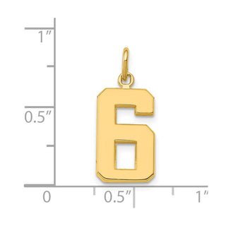 14k Yellow Gold Casted Medium Polished Number 6 Pendant