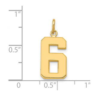 14k Yellow Gold Casted Medium Polished Number 6 Pendant