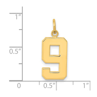14k Yellow Gold Casted Medium Polished Number 9 Pendant